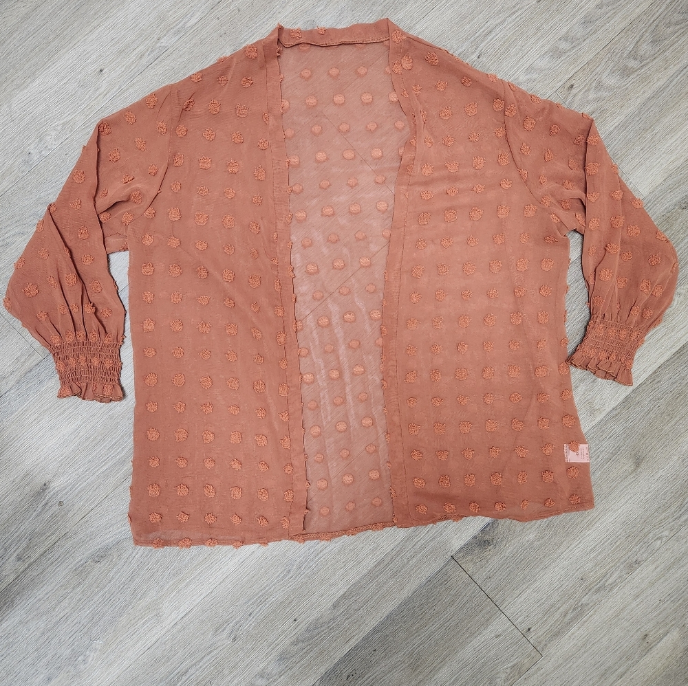 Women's Sheer Rust Cardigan Size 4XL